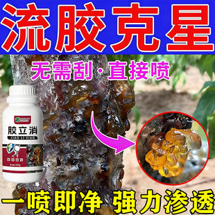 桃树流胶病专用药果树流胶一喷净杀菌剂治桃杏李子树腐烂流胶穿孔
