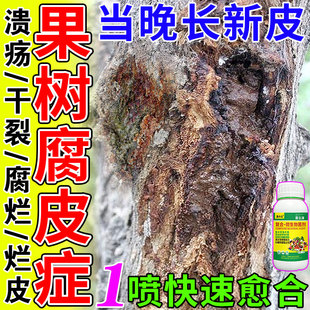 果树腐烂病肥料苹果桃梨李子树干腐溃疡轮纹病枝干流脓杀虫杀菌剂
