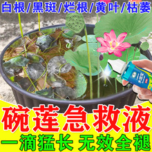 碗莲专用营养液水培植物荷花睡莲不伤鱼防黄叶烂根促开花发芽肥料