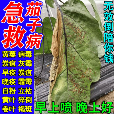 茄子黄萎病专用药病菌清治炭病疽毒枯萎叶斑灰霉棉疫病杀菌剂肥料