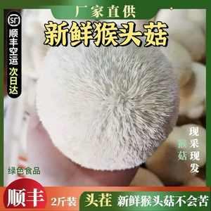 新鲜古田猴头菇煲汤猴头菇养胃