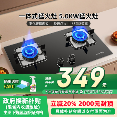 樱雪Q2420燃气灶家用天然气液化气煤气灶嵌入式双灶台嵌两用灶44