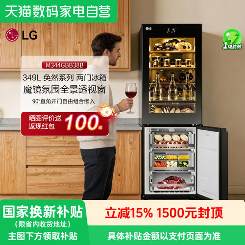 LG349升幻色魔镜电冰箱