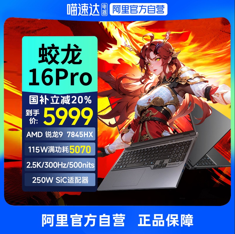  е16Pro R9   8945HX/RTX5060//300Hz/2.5K5997.75Ԫ