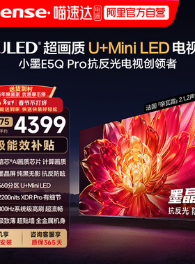 海信小墨E5Q Pro 65英寸ULED超画质U+Mini LED AI以旧换新电视122