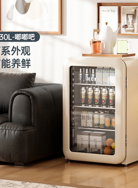 HCK哈士奇冰吧冷藏保鲜柜家用客厅小型茶饮料冰箱办公室高颜值2.0