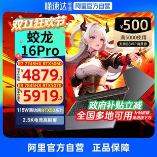 政府补贴 7845HX电竞本300Hz 机械革命蛟龙16Pro 5060可选锐龙R9 2025游戏笔记本电脑官方旗舰 RTX5070