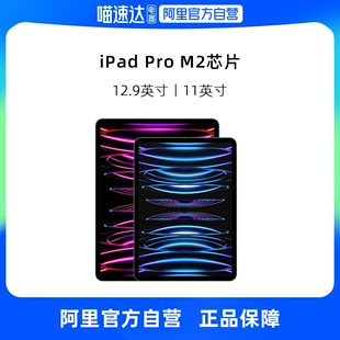 12.9英寸M2芯片 Apple 苹果 平板电脑 设计办公学习平板 2022款 11英寸 WLAN版 自营 Pro iPad