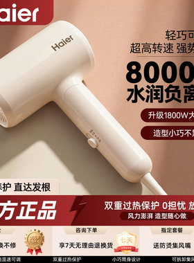 海尔电吹风机家用大风力负离子护发速干大功率折叠宿舍用学生279