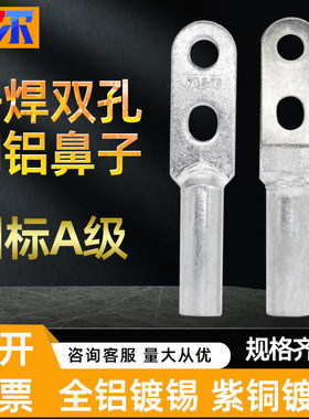 DTLQS双孔钎焊铜铝鼻接线耳线鼻子 铜铝复合过渡接线端子钎焊接头