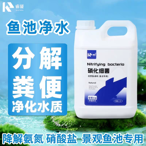 硝化细菌鱼池专用净水剂生物酶