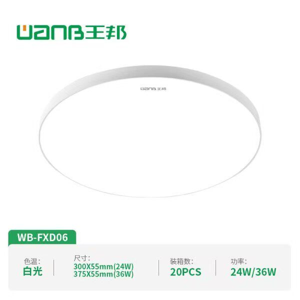 王邦 led超薄灯家用客厅吸顶灯过道灯开客厅卧室防蚊虫防尘一体灯