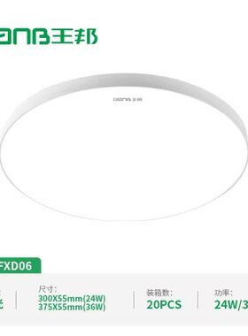 王邦 led超薄灯家用客厅吸顶灯过道灯开客厅卧室防蚊虫防尘一体灯