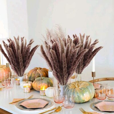 Dekoration 15Pcs Free Shipping Dried Pampas Grass Decor Wedd