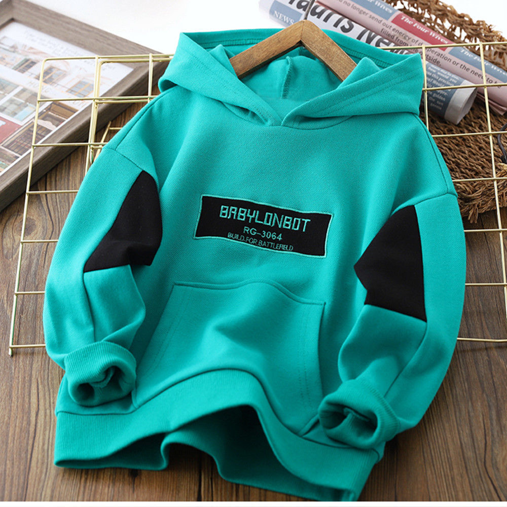 Boy's Hoody Autumn New Children's Boyish Look Hooded Bottomi图片
