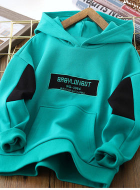 Boy's Hoody Autumn New Children's Boyish Look Hooded Bottomi