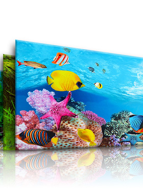 Background for Aquarium 3d  Sticker Poster Fish Tank  Aquari
