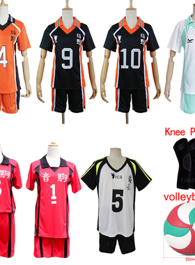 9 Styles Haikyuu Cosplay Costume Karasuno High School Volley