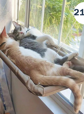 Cat Hammock Pet Hanging Beds With Blanket Cat Window Hammock