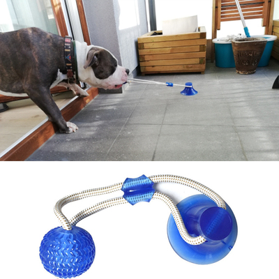 Dog Toys Pet Puppy Interactive Suction Cup Push TPR Ball Toy