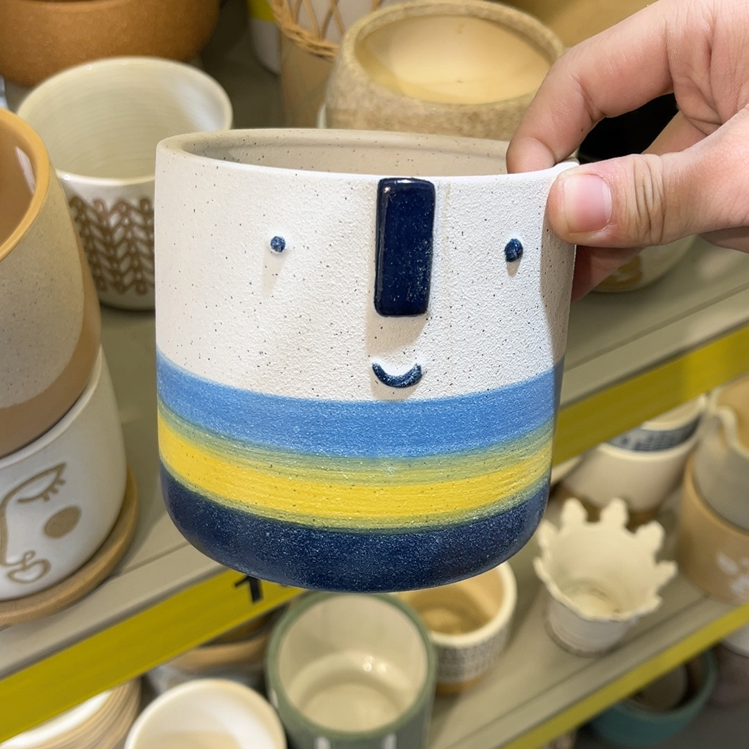 高11.5口10,鲜花速递/花卉仿真/绿植园艺,花盆,淘宝优惠券,粉丝福利购,淘宝优惠卷