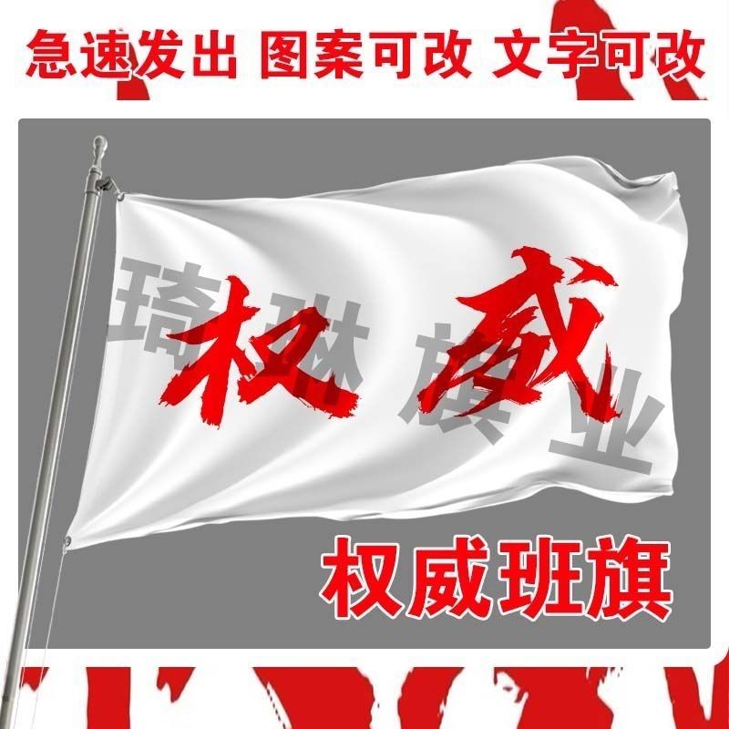 权威班旗户外运动会班旗玩梗班旗毕业季班旗定制百日晢师手持班旗