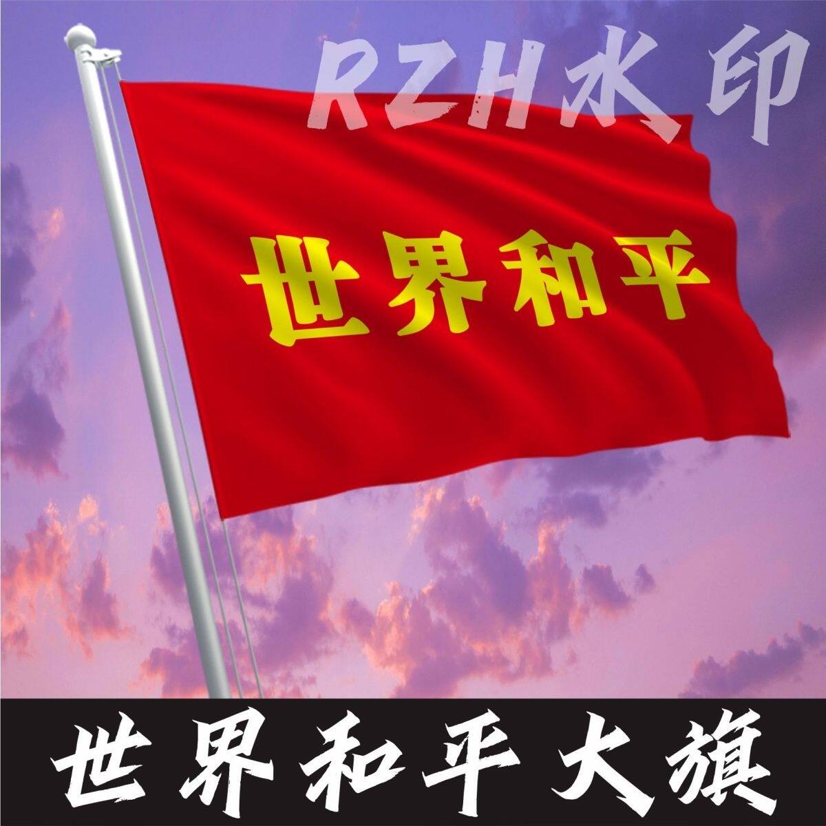 新款世界和平大旗定制巴勒斯坦和露营氛围旗