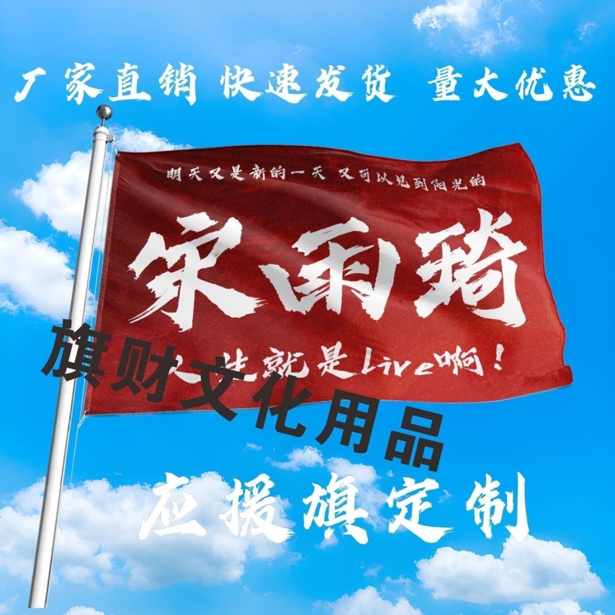 宋雨琦应援大旗明星宋雨琦大旗人生就是live啊演唱会音乐节旗定制