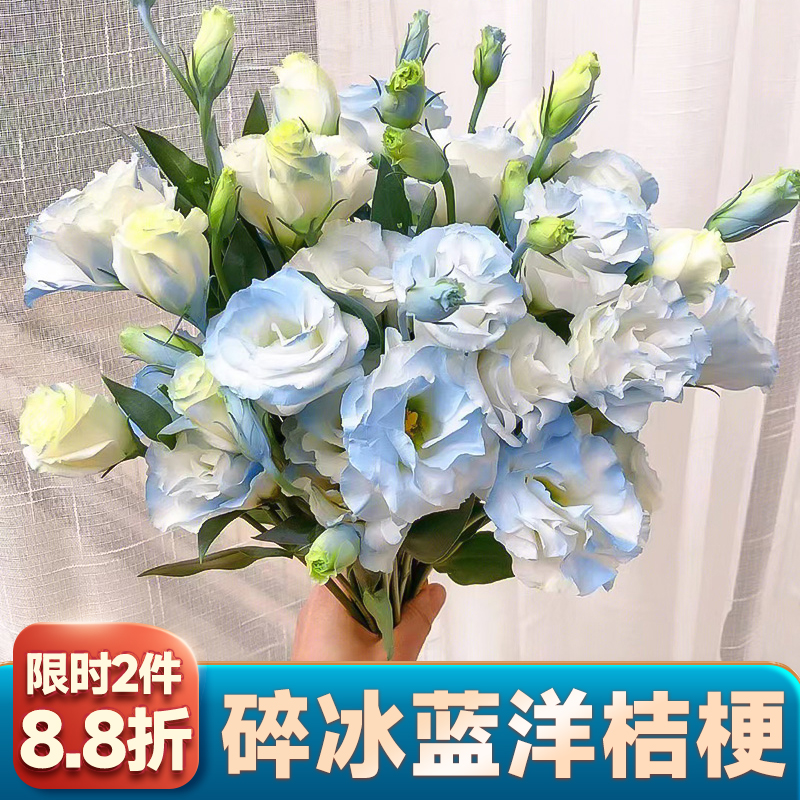 洋桔梗鲜花基地直发桔梗鲜花百合花玫瑰花家用插花