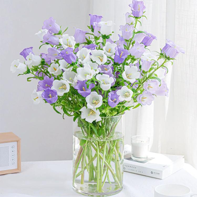 风铃鲜花应季鲜花基地直发