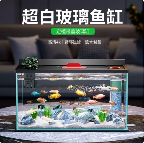 金晶超白玻璃鱼缸过滤制氧一体机小型客厅造景全套金鱼缸