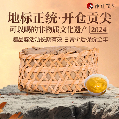 2024年贡尖孙义顺安茶黑茶250g