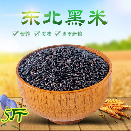 农家自种东北黑米五谷杂粮