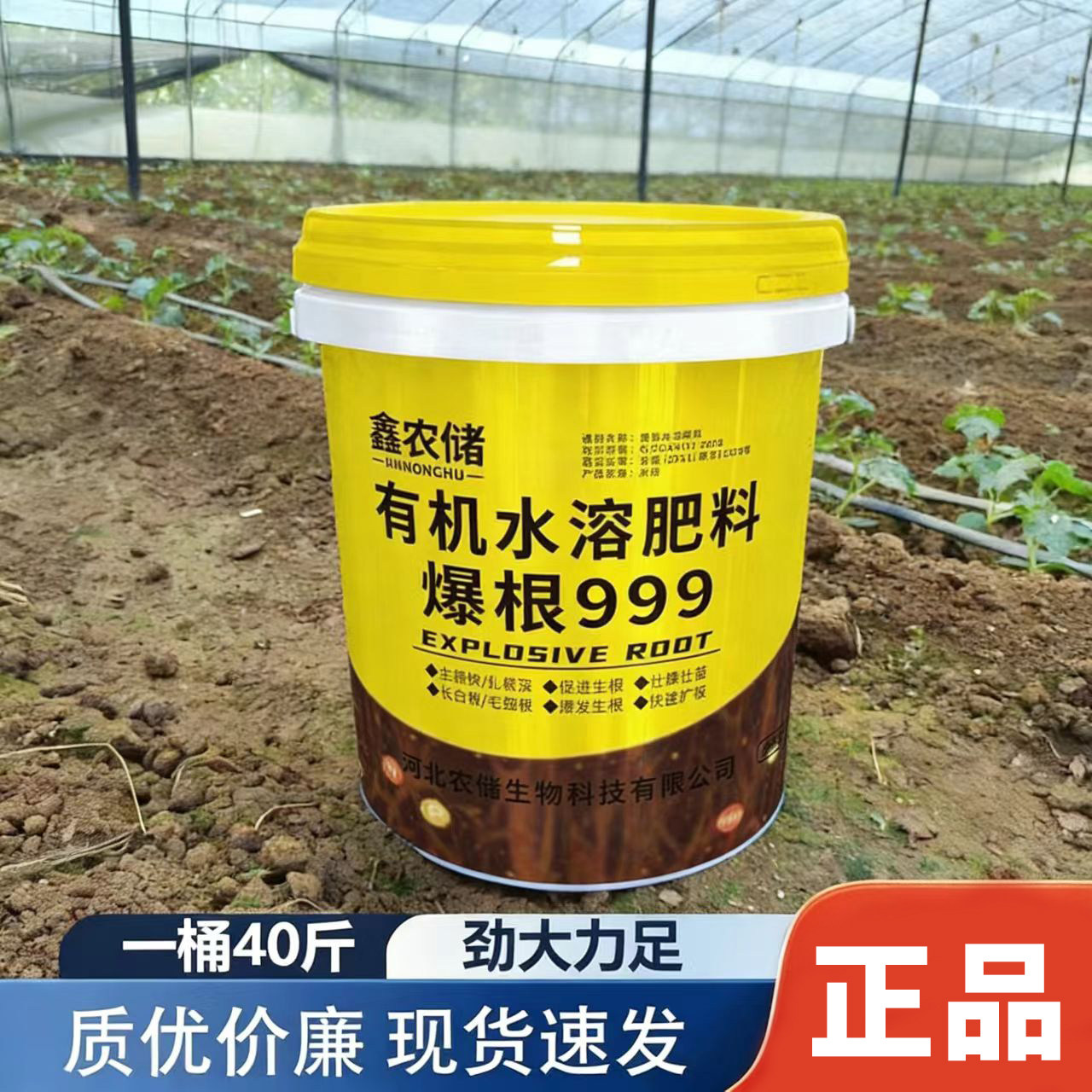爆发生根999水溶肥冲施肥正品