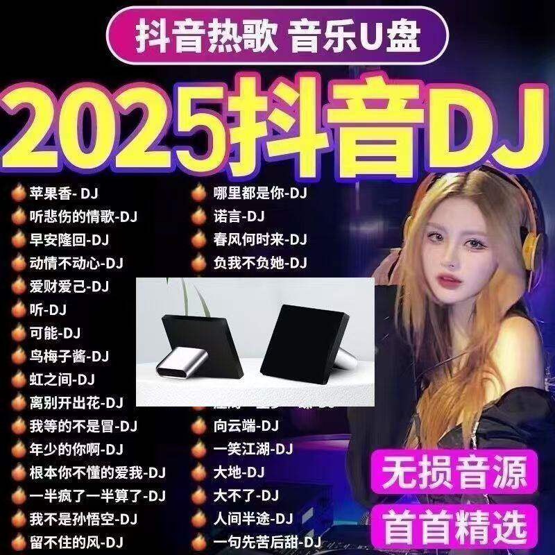 大众奔驰奥迪宝马车载u盘音乐U盘通用无损音质typec接口USB小优盘