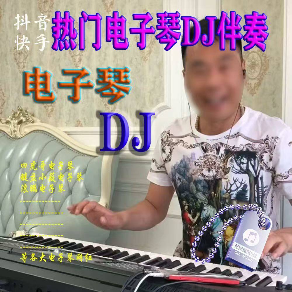 抖音快手电子琴车载优盘四虎哥DJ网红重低音伴奏车载音乐U盘