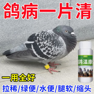 鸽感康鸽子鸽瘟甩头歪脖没精神拉稀绿便新城疫鸽瘟药专治鸽子病