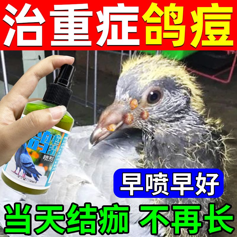 鸽痘专用药水治鸽痘灵鸽子用嘴角眼皮爪子长脓痘喷剂非特效鸽子