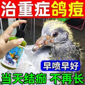 鸽痘专用药水治鸽痘灵鸽子用嘴角眼皮爪子长脓痘喷剂非特效鸽子