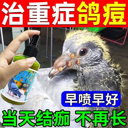 鸽痘专用药水治鸽痘灵自然脱落