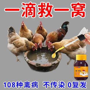 鸡鸭鹅鸽家禽用抗病毒流感新城疫鸡瘟鸡病咳嗽呼噜鸡药大全禽一滴