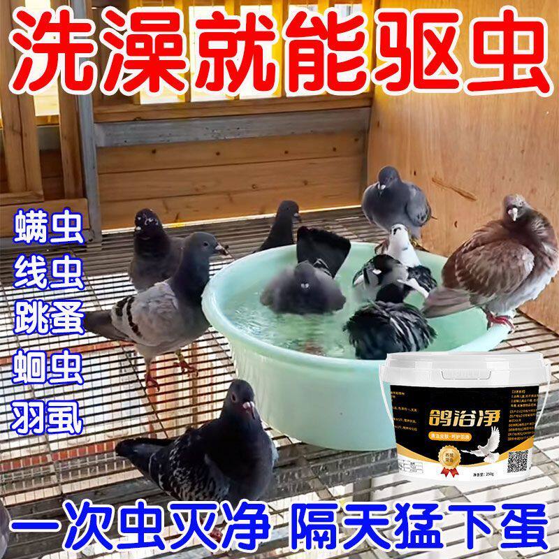 鸽浴盐浴粉鸽子洗澡专用