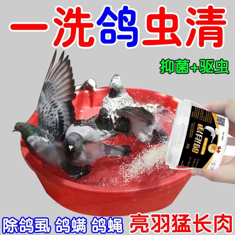 清虫不伤鸽】鸽子驱虫专