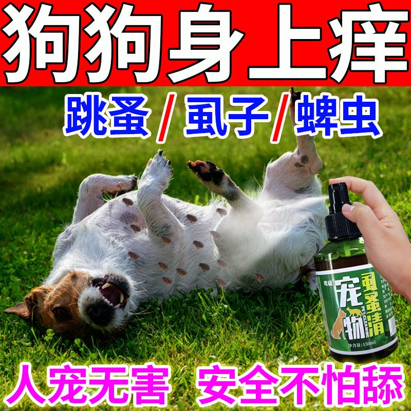 狗狗驱虫药宠物体外环境