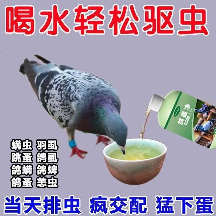 当天虫清】鸽子驱虫净通