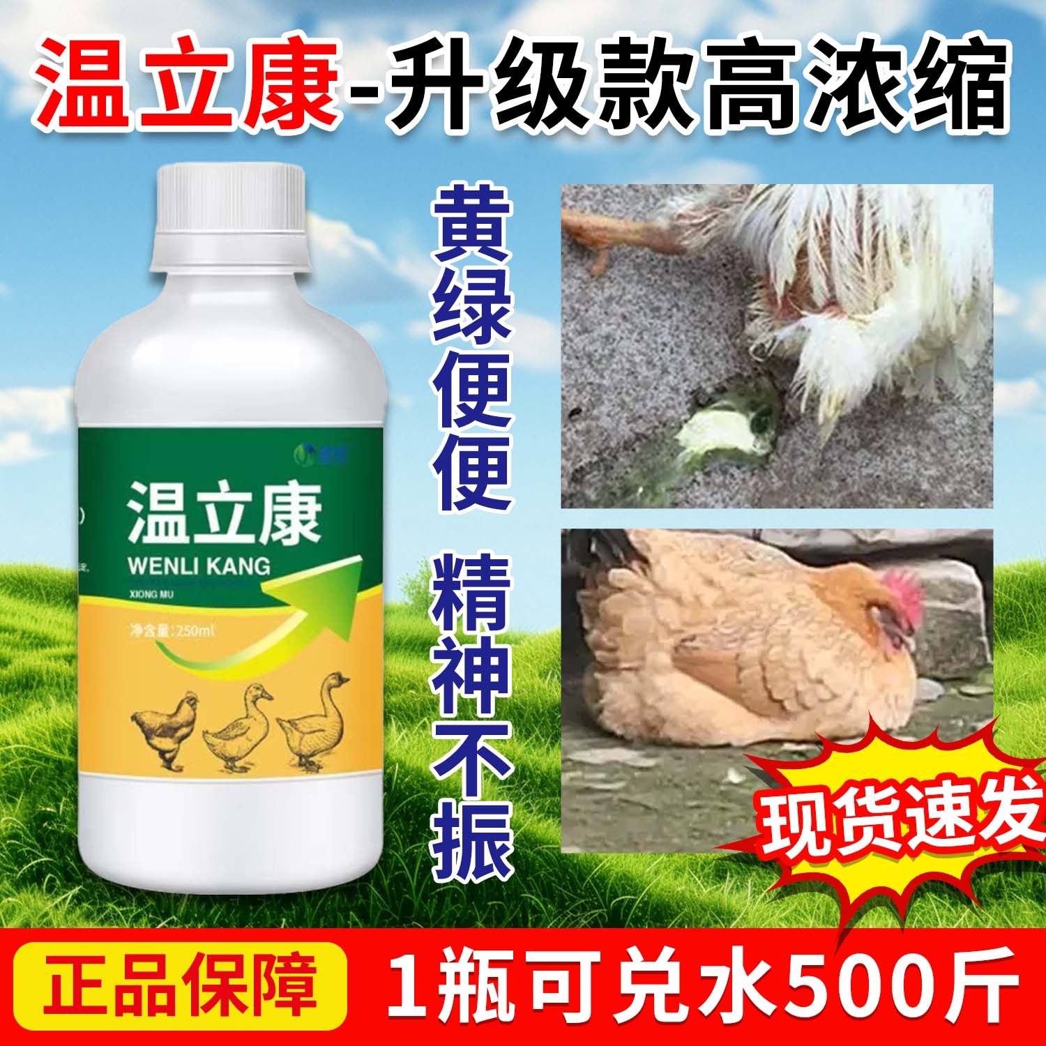 正品温立康养鸡专用药鸡
