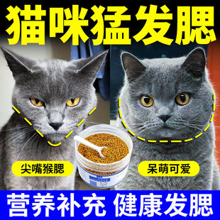 猫咪营养品零食英短蓝猫长不胖发腮慢补充维生素均衡营养促进生长