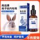 兔子驱虫药兔虫清口服液体内外驱虫球虫绦虫蛔虫寄生虫孕兔宠物兔