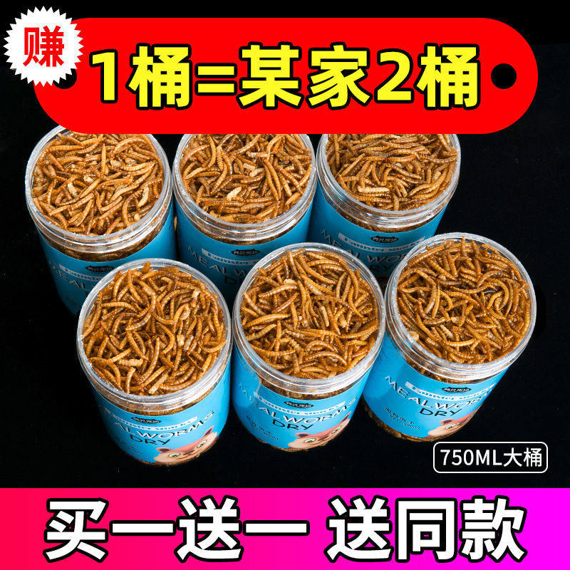 芦丁鸡面包虫干仓鼠柯尔鸭风干
