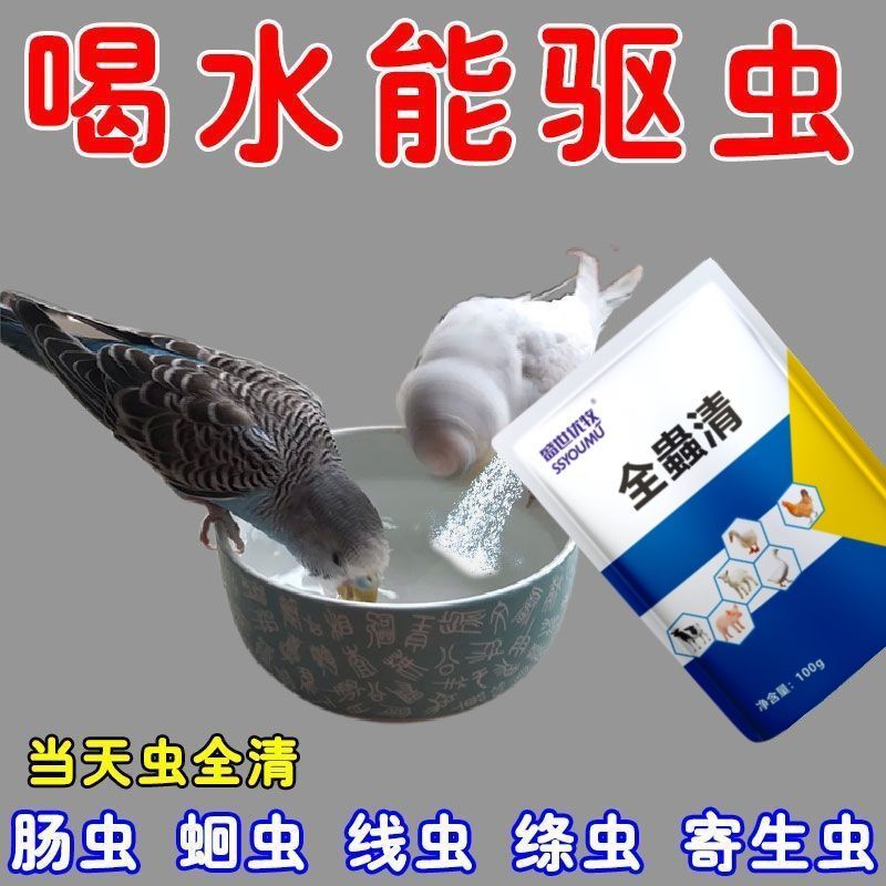 鹦鹉体内体外驱虫八哥鸽